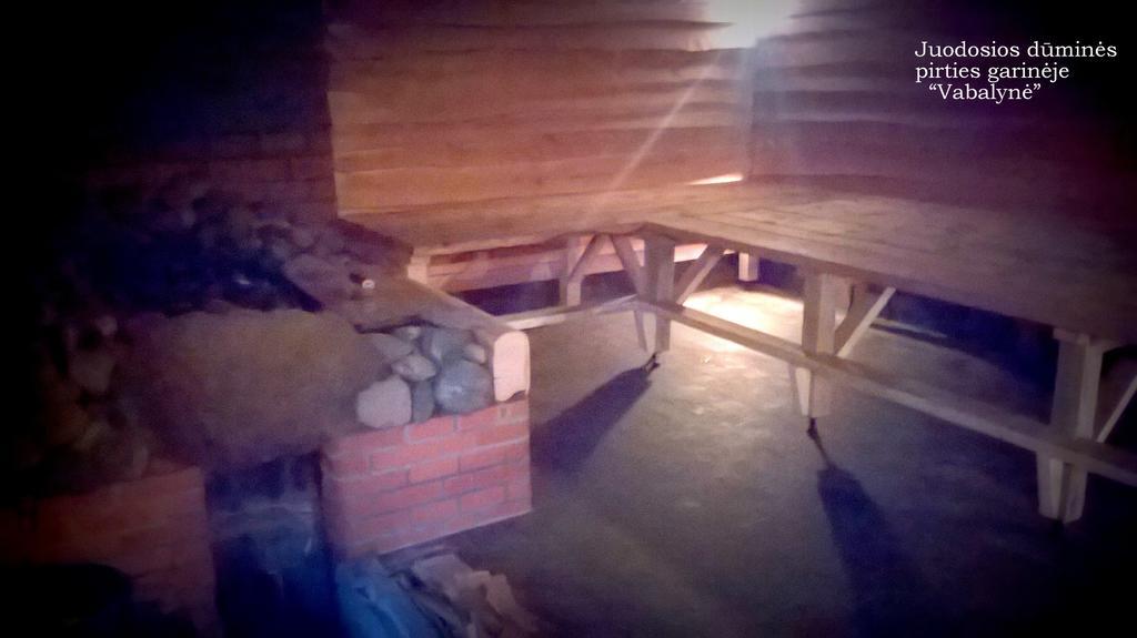 Vabalyne Guest House Vilkiskes Luaran gambar