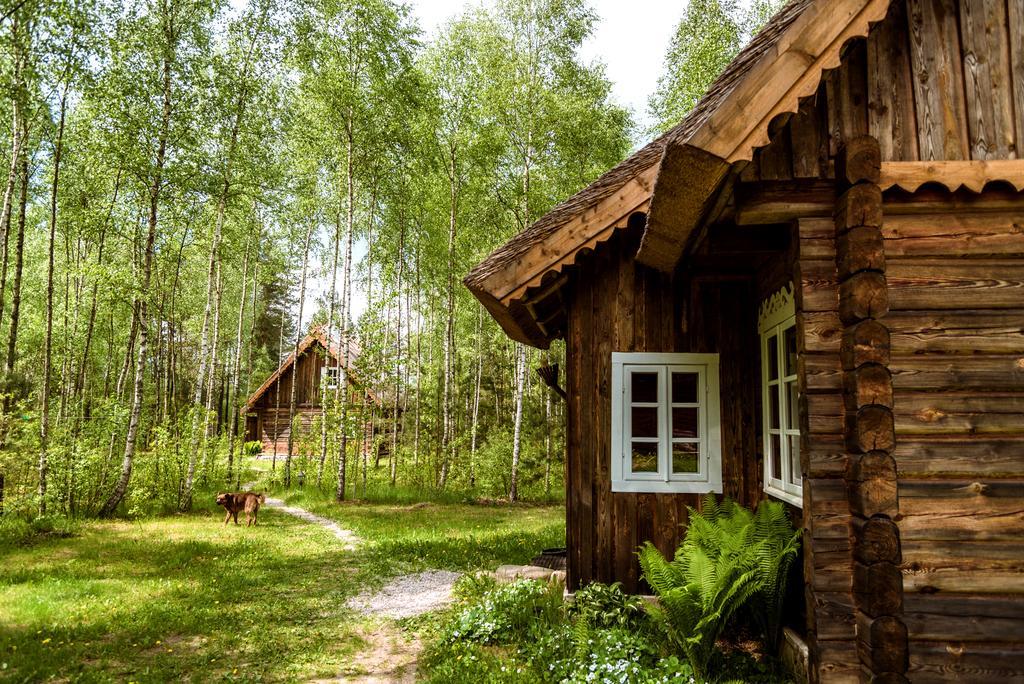Vabalyne Guest House Vilkiskes Luaran gambar
